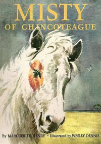 Image of MIsty Of Chincoteague
